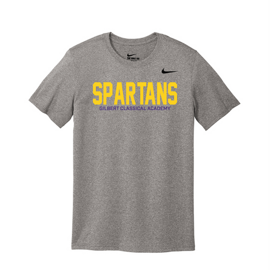 Nike Team rLegend Tee